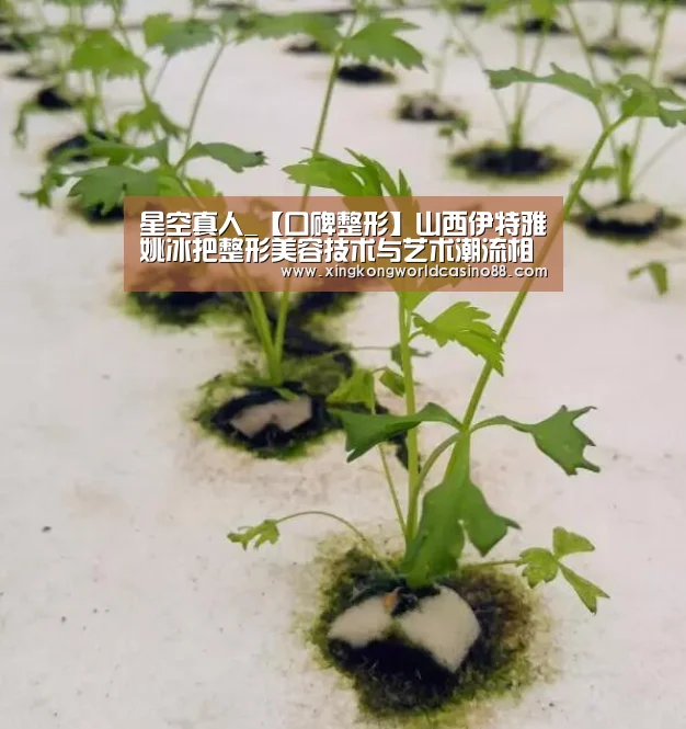 星空真人_【口碑整形】山西伊特雅姚冰把整形美容技术与艺术潮流相融合(图1) 星空官网