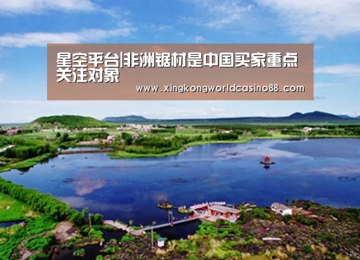 星空平台|非洲锯材是中国买家重点关注对象(图2) 星空平台
