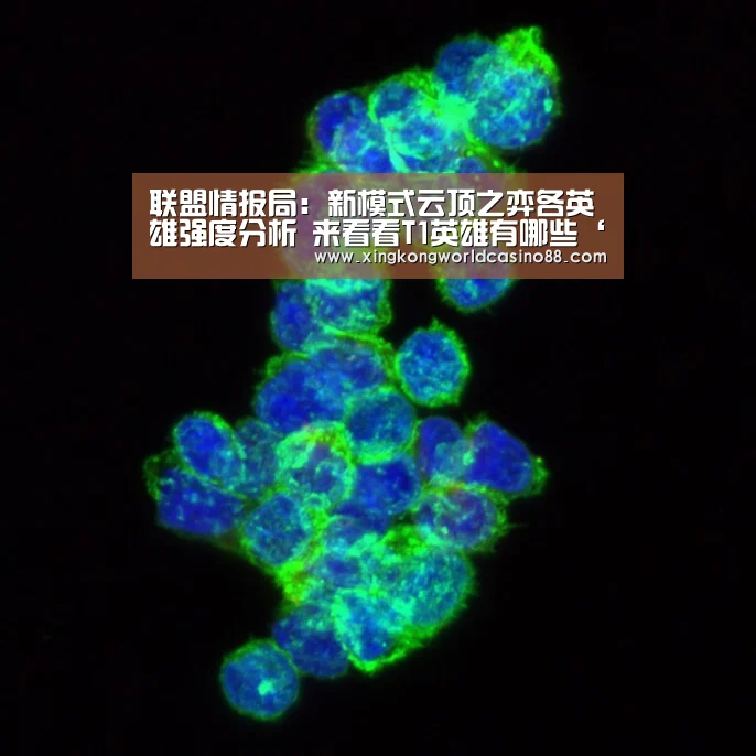 联盟情报局:新模式云顶之弈各英雄强度分析 来看看T1英雄有哪些‘星空官网’(图2) 星空真人