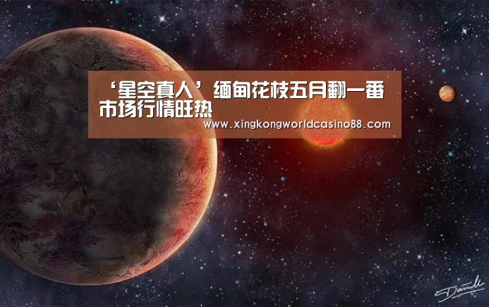 星空平台